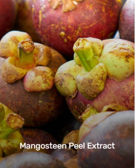 mangosteen peel extract